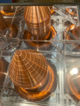 Load image into Gallery viewer, TXEN